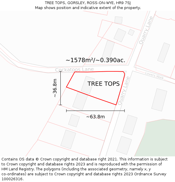 TREE TOPS, GORSLEY, ROSS-ON-WYE, HR9 7SJ: Plot and title map