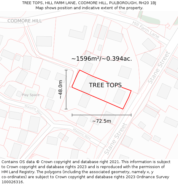 TREE TOPS, HILL FARM LANE, CODMORE HILL, PULBOROUGH, RH20 1BJ: Plot and title map