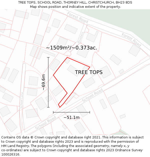 TREE TOPS, SCHOOL ROAD, THORNEY HILL, CHRISTCHURCH, BH23 8DS: Plot and title map
