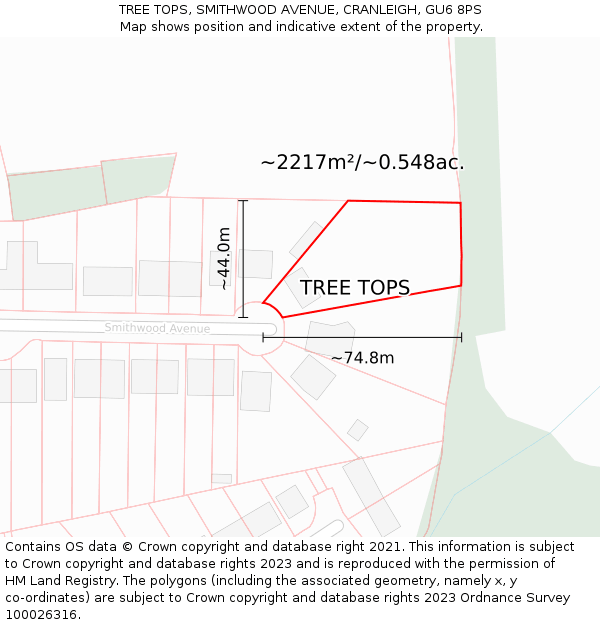 TREE TOPS, SMITHWOOD AVENUE, CRANLEIGH, GU6 8PS: Plot and title map