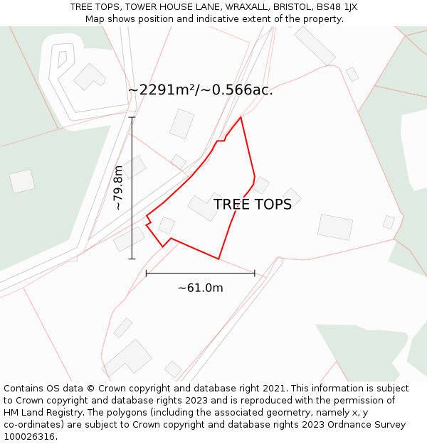 TREE TOPS, TOWER HOUSE LANE, WRAXALL, BRISTOL, BS48 1JX: Plot and title map