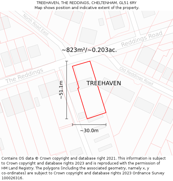 TREEHAVEN, THE REDDINGS, CHELTENHAM, GL51 6RY: Plot and title map