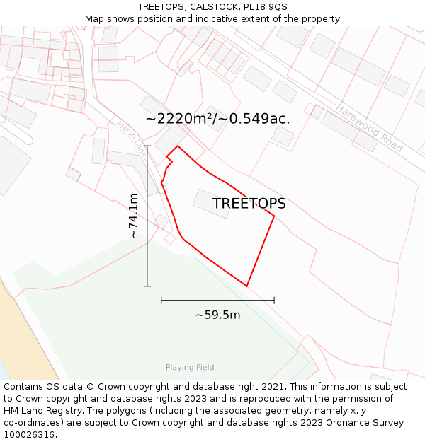 TREETOPS, CALSTOCK, PL18 9QS: Plot and title map