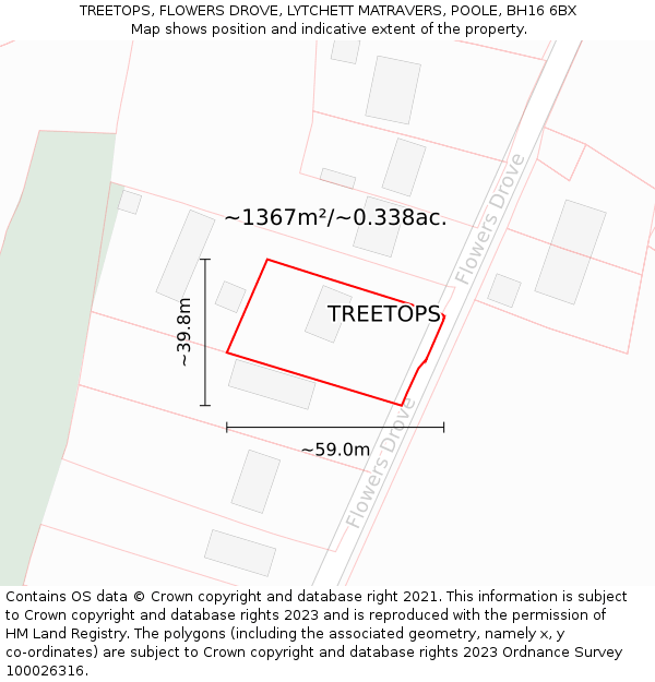 TREETOPS, FLOWERS DROVE, LYTCHETT MATRAVERS, POOLE, BH16 6BX: Plot and title map