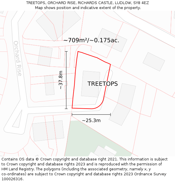 TREETOPS, ORCHARD RISE, RICHARDS CASTLE, LUDLOW, SY8 4EZ: Plot and title map