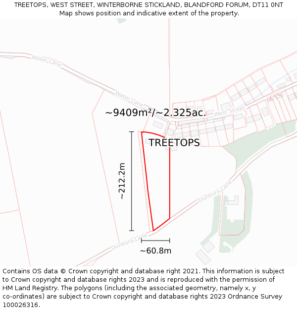 TREETOPS, WEST STREET, WINTERBORNE STICKLAND, BLANDFORD FORUM, DT11 0NT: Plot and title map