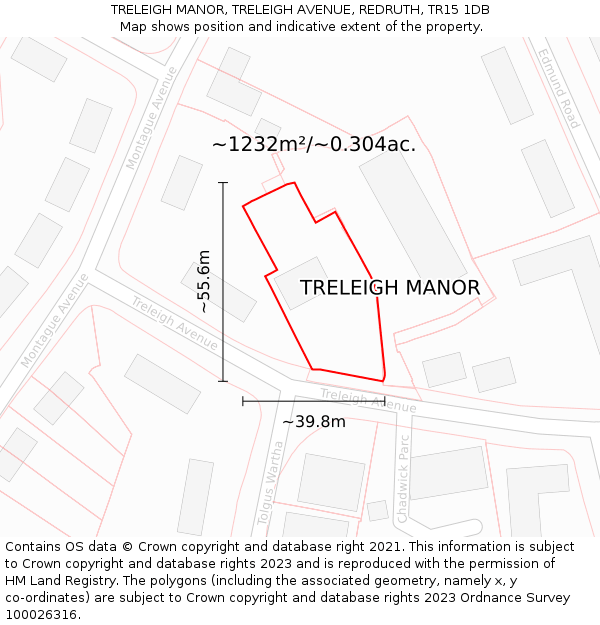 TRELEIGH MANOR, TRELEIGH AVENUE, REDRUTH, TR15 1DB: Plot and title map