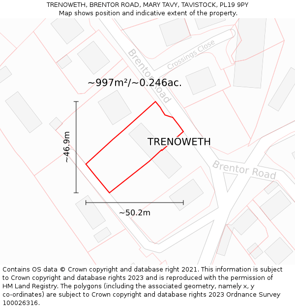 TRENOWETH, BRENTOR ROAD, MARY TAVY, TAVISTOCK, PL19 9PY: Plot and title map