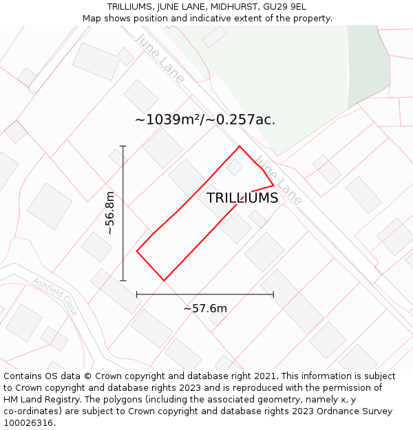TRILLIUMS, JUNE LANE, MIDHURST, GU29 9EL: Plot and title map