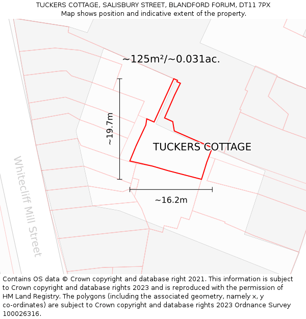 TUCKERS COTTAGE, SALISBURY STREET, BLANDFORD FORUM, DT11 7PX: Plot and title map