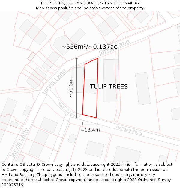 TULIP TREES, HOLLAND ROAD, STEYNING, BN44 3GJ: Plot and title map