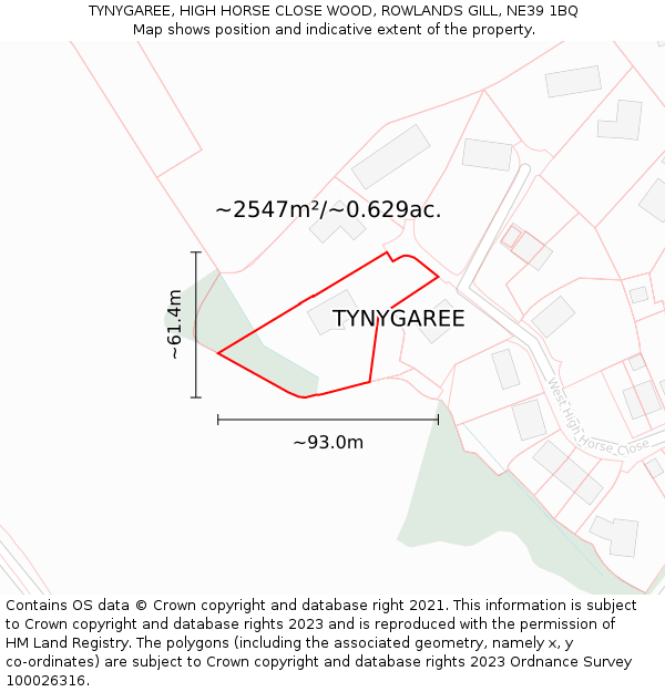 TYNYGAREE, HIGH HORSE CLOSE WOOD, ROWLANDS GILL, NE39 1BQ: Plot and title map