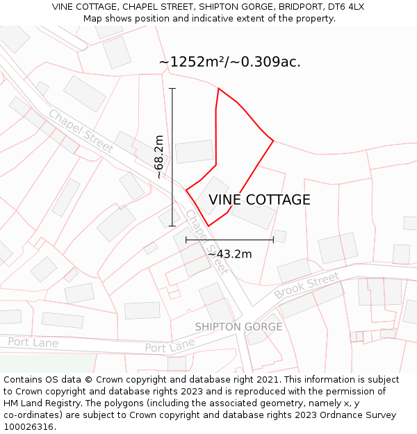 VINE COTTAGE, CHAPEL STREET, SHIPTON GORGE, BRIDPORT, DT6 4LX: Plot and title map