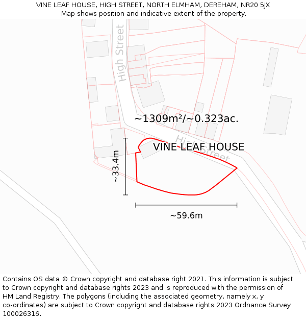 VINE LEAF HOUSE, HIGH STREET, NORTH ELMHAM, DEREHAM, NR20 5JX: Plot and title map