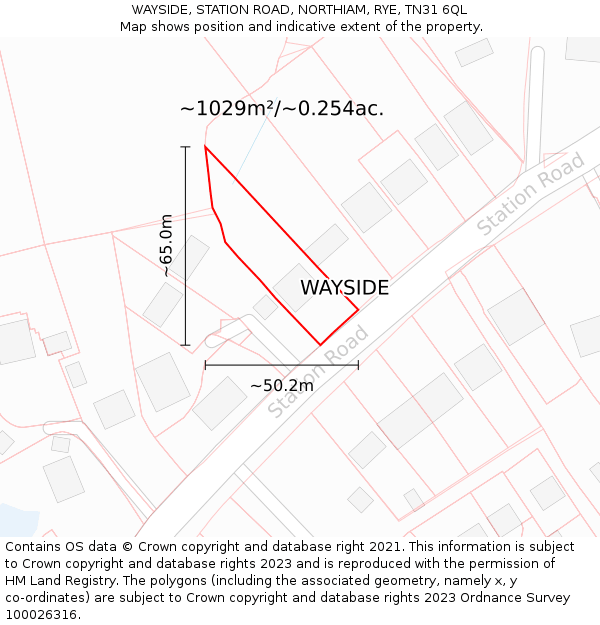 WAYSIDE, STATION ROAD, NORTHIAM, RYE, TN31 6QL: Plot and title map