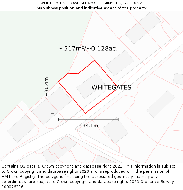 WHITEGATES, DOWLISH WAKE, ILMINSTER, TA19 0NZ: Plot and title map