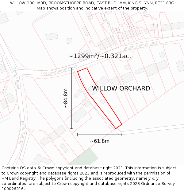 WILLOW ORCHARD, BROOMSTHORPE ROAD, EAST RUDHAM, KING'S LYNN, PE31 8RG: Plot and title map