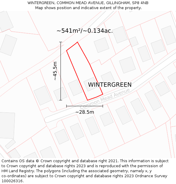 WINTERGREEN, COMMON MEAD AVENUE, GILLINGHAM, SP8 4NB: Plot and title map
