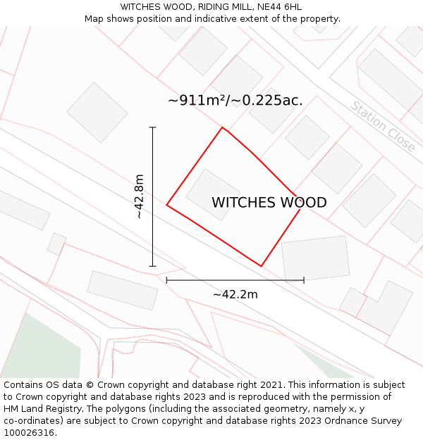 WITCHES WOOD, RIDING MILL, NE44 6HL: Plot and title map