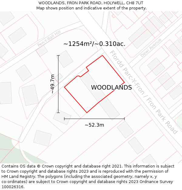 WOODLANDS, FRON PARK ROAD, HOLYWELL, CH8 7UT: Plot and title map