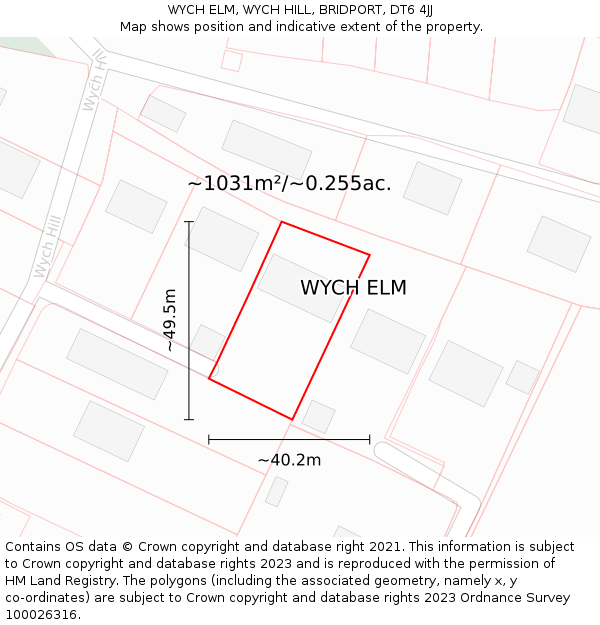 WYCH ELM, WYCH HILL, BRIDPORT, DT6 4JJ: Plot and title map