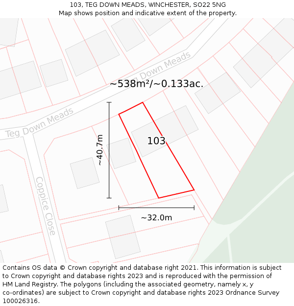 103, TEG DOWN MEADS, WINCHESTER, SO22 5NG: Plot and title map