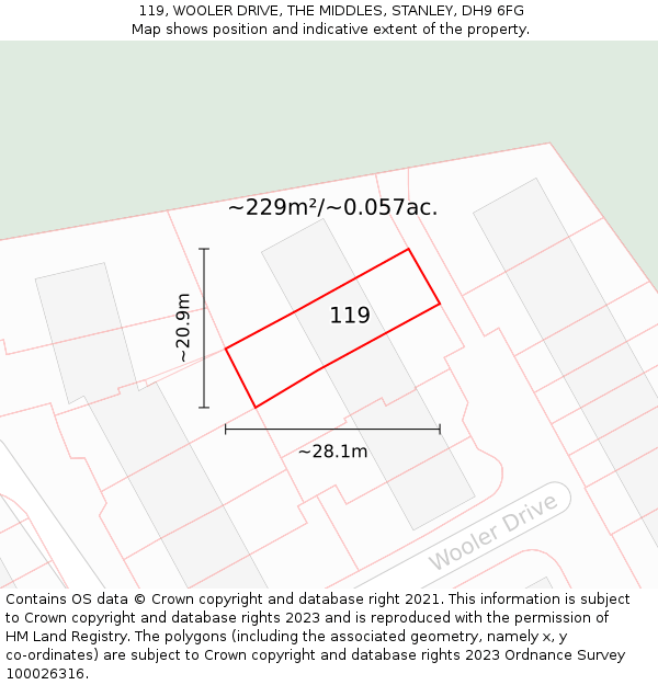 119, WOOLER DRIVE, THE MIDDLES, STANLEY, DH9 6FG: Plot and title map