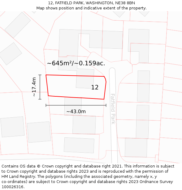 12, FATFIELD PARK, WASHINGTON, NE38 8BN: Plot and title map