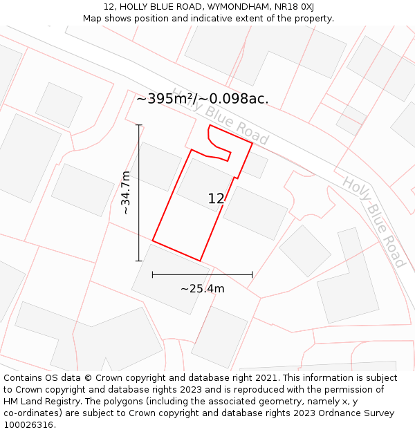 12, HOLLY BLUE ROAD, WYMONDHAM, NR18 0XJ: Plot and title map
