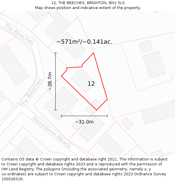 12, THE BEECHES, BRIGHTON, BN1 5LS: Plot and title map