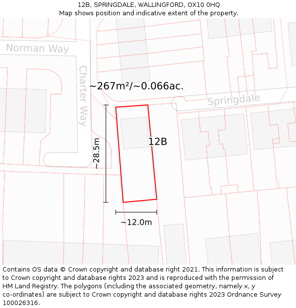 12B, SPRINGDALE, WALLINGFORD, OX10 0HQ: Plot and title map