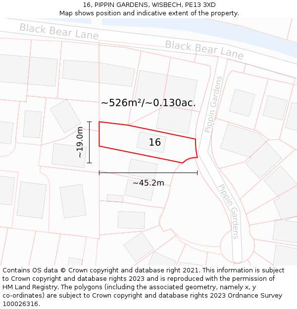 16, PIPPIN GARDENS, WISBECH, PE13 3XD: Plot and title map