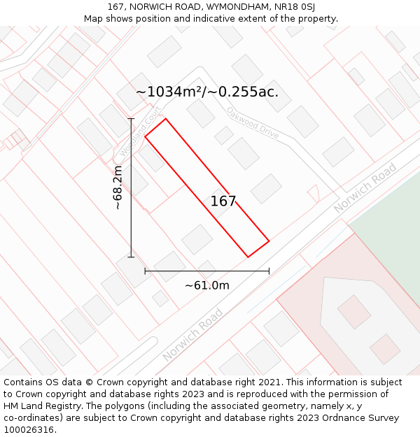 167, NORWICH ROAD, WYMONDHAM, NR18 0SJ: Plot and title map