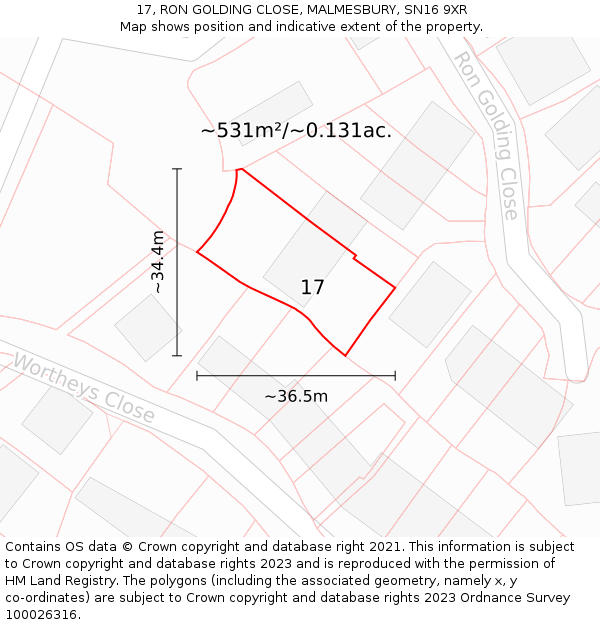 17, RON GOLDING CLOSE, MALMESBURY, SN16 9XR: Plot and title map