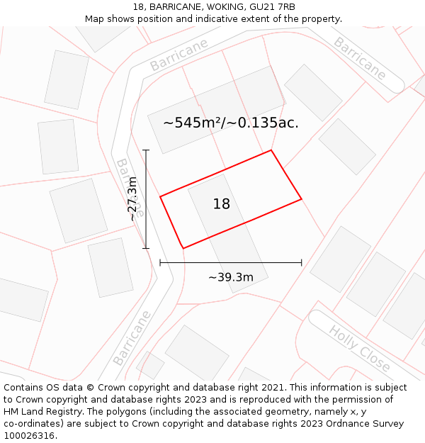 18, BARRICANE, WOKING, GU21 7RB: Plot and title map