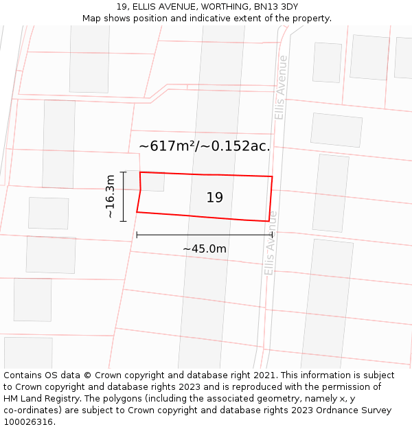 19, ELLIS AVENUE, WORTHING, BN13 3DY: Plot and title map
