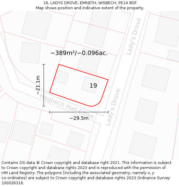 19, LADYS DROVE, EMNETH, WISBECH, PE14 8DF: Plot and title map