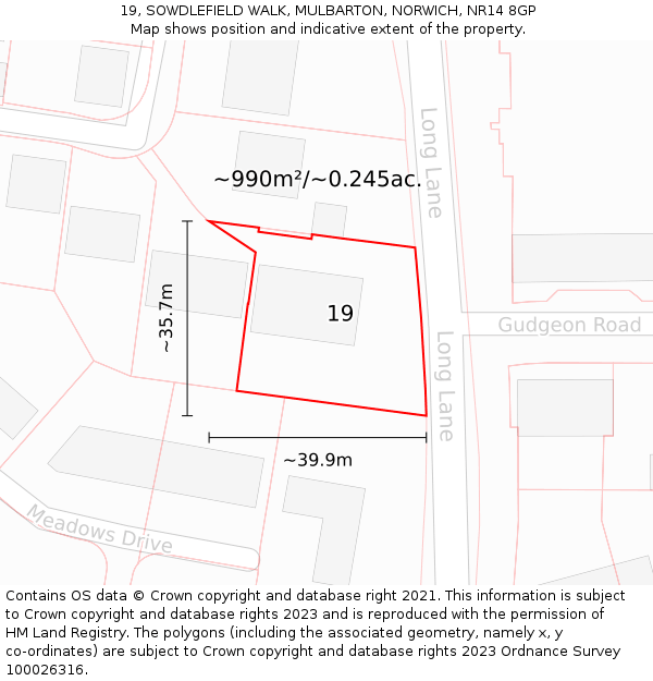 19, SOWDLEFIELD WALK, MULBARTON, NORWICH, NR14 8GP: Plot and title map