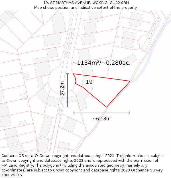 19, ST MARTHAS AVENUE, WOKING, GU22 9BN: Plot and title map