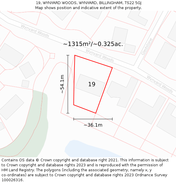 19, WYNYARD WOODS, WYNYARD, BILLINGHAM, TS22 5GJ: Plot and title map