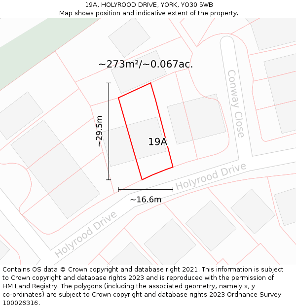 19A, HOLYROOD DRIVE, YORK, YO30 5WB: Plot and title map