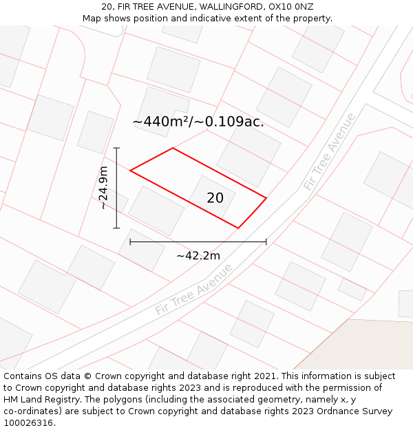 20, FIR TREE AVENUE, WALLINGFORD, OX10 0NZ: Plot and title map