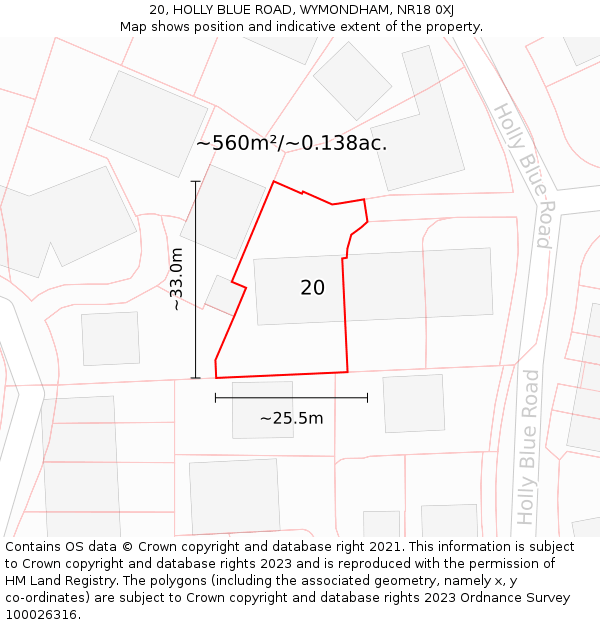 20, HOLLY BLUE ROAD, WYMONDHAM, NR18 0XJ: Plot and title map