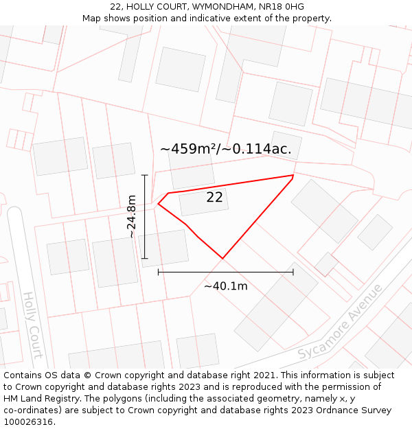 22, HOLLY COURT, WYMONDHAM, NR18 0HG: Plot and title map