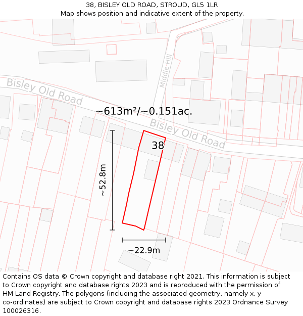 38, BISLEY OLD ROAD, STROUD, GL5 1LR: Plot and title map