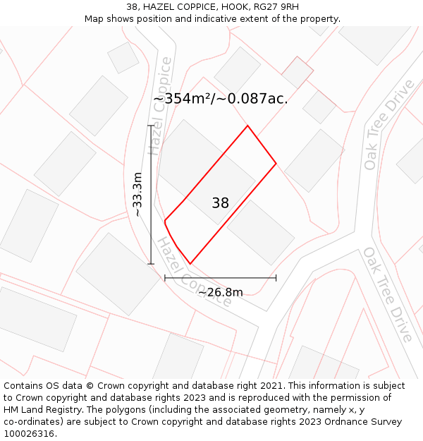 38, HAZEL COPPICE, HOOK, RG27 9RH: Plot and title map