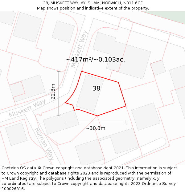 38, MUSKETT WAY, AYLSHAM, NORWICH, NR11 6GF: Plot and title map