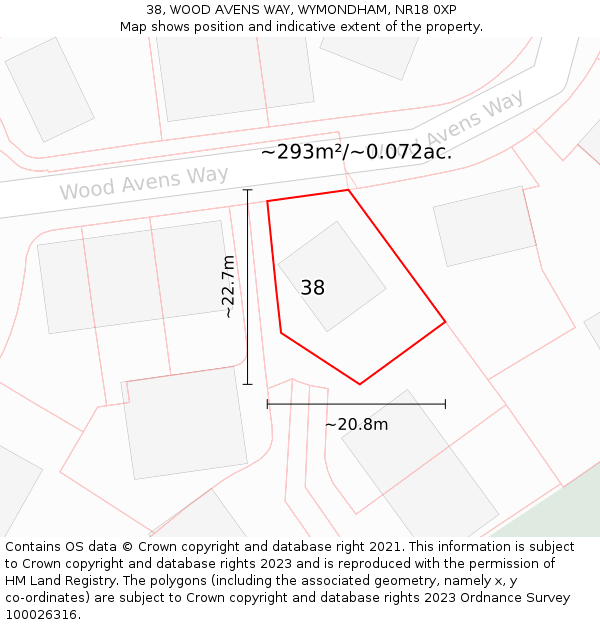 38, WOOD AVENS WAY, WYMONDHAM, NR18 0XP: Plot and title map