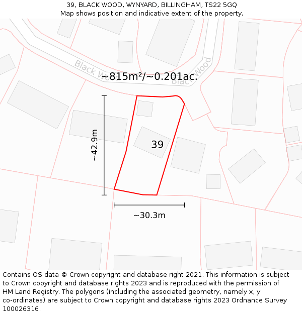 39, BLACK WOOD, WYNYARD, BILLINGHAM, TS22 5GQ: Plot and title map