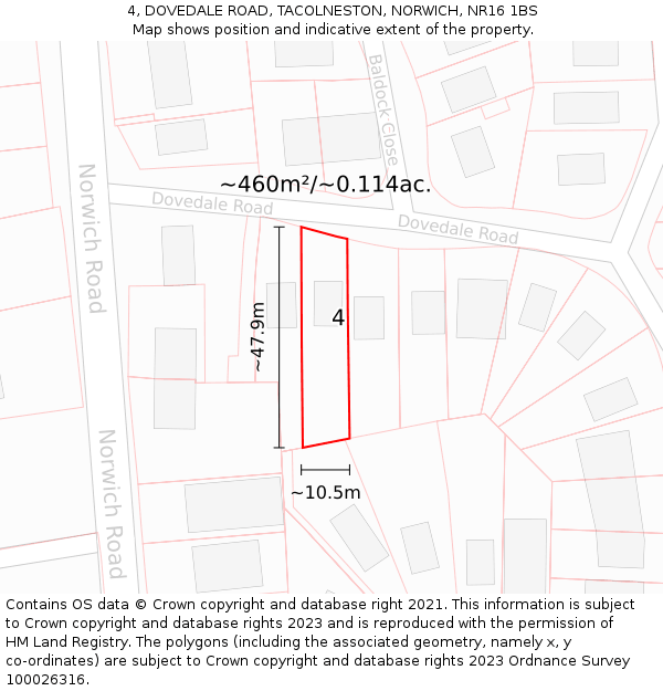 4, DOVEDALE ROAD, TACOLNESTON, NORWICH, NR16 1BS: Plot and title map